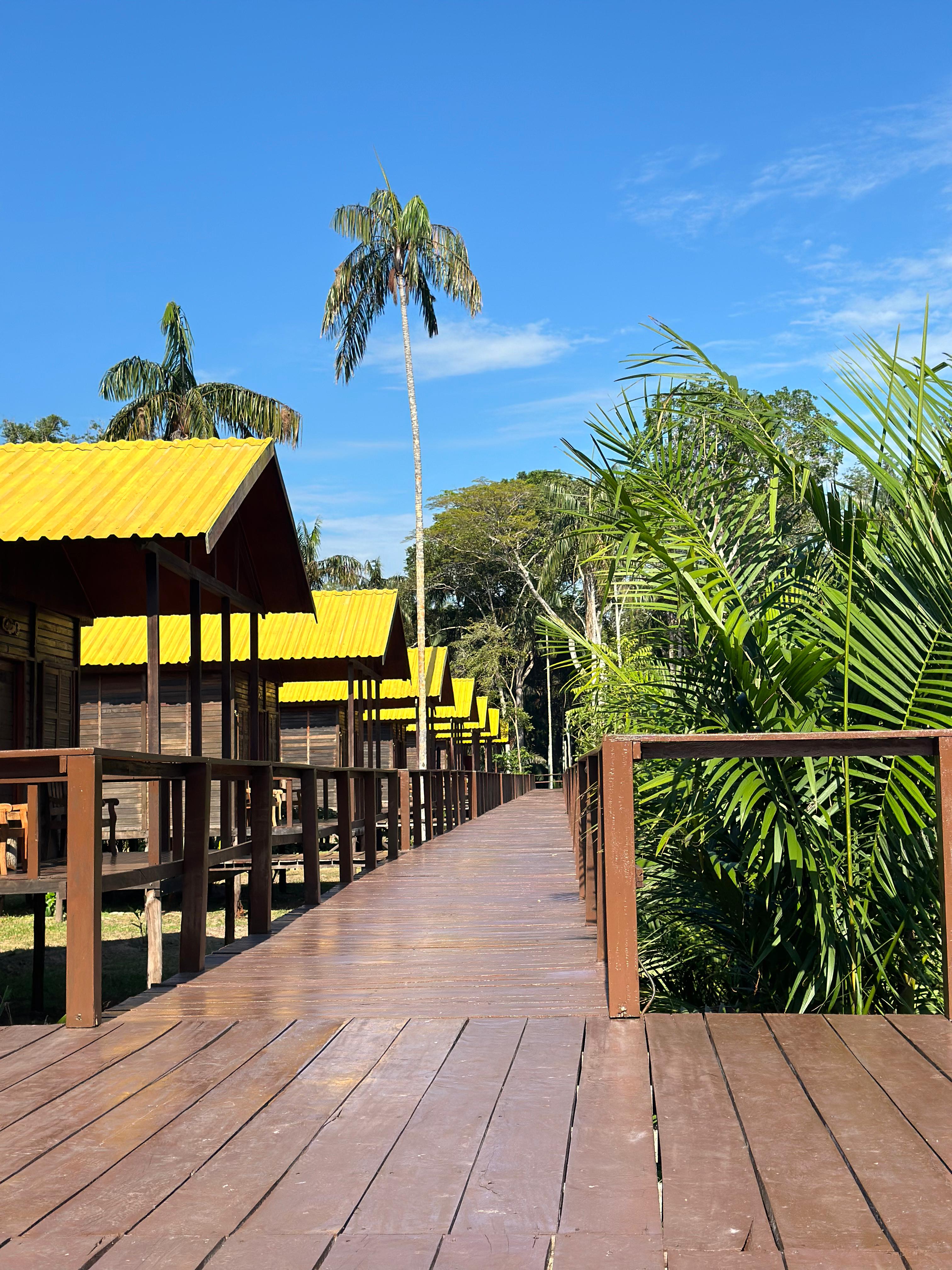 Amazon lodge