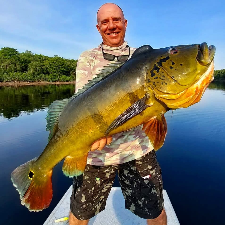 Amazon bass