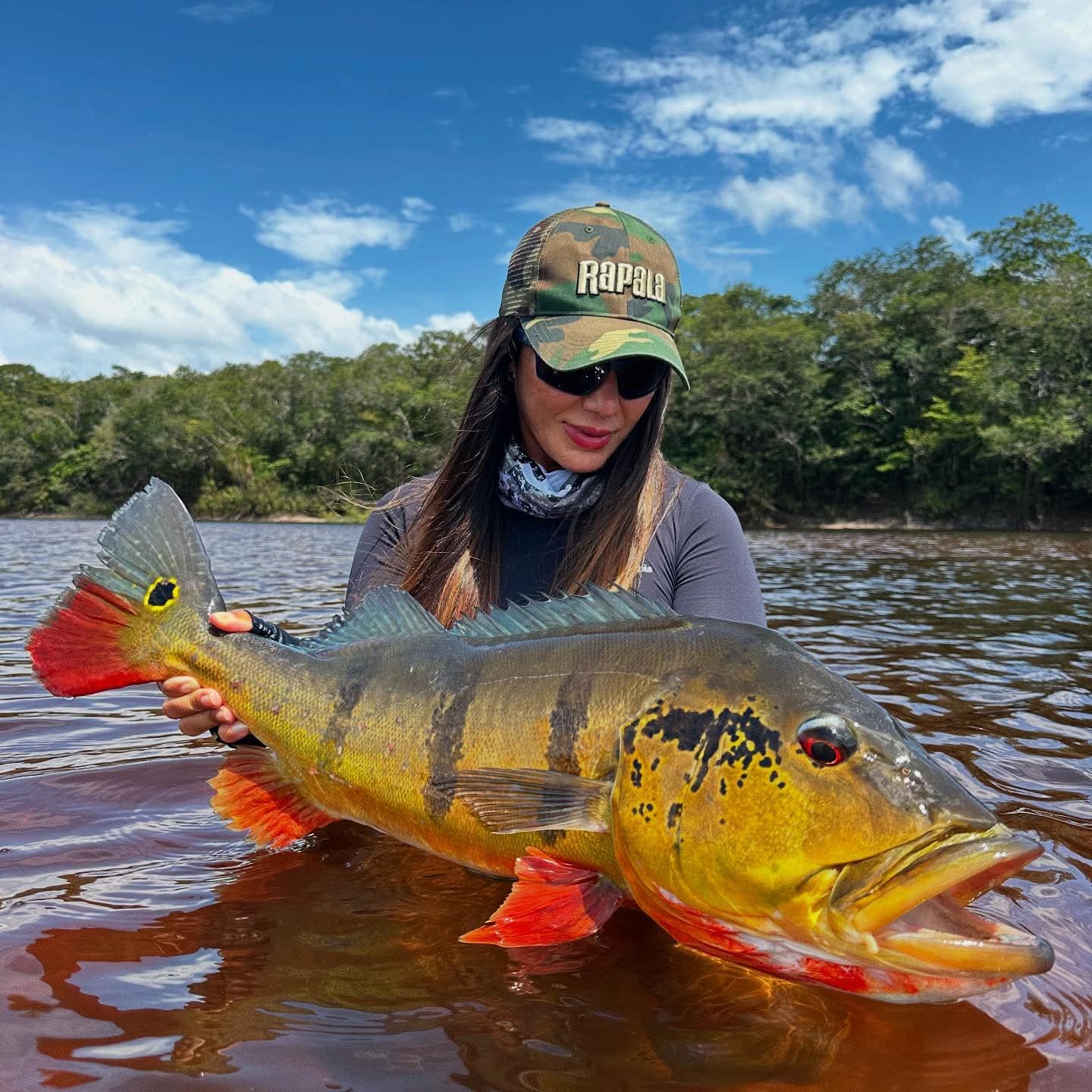 Amazon lodge