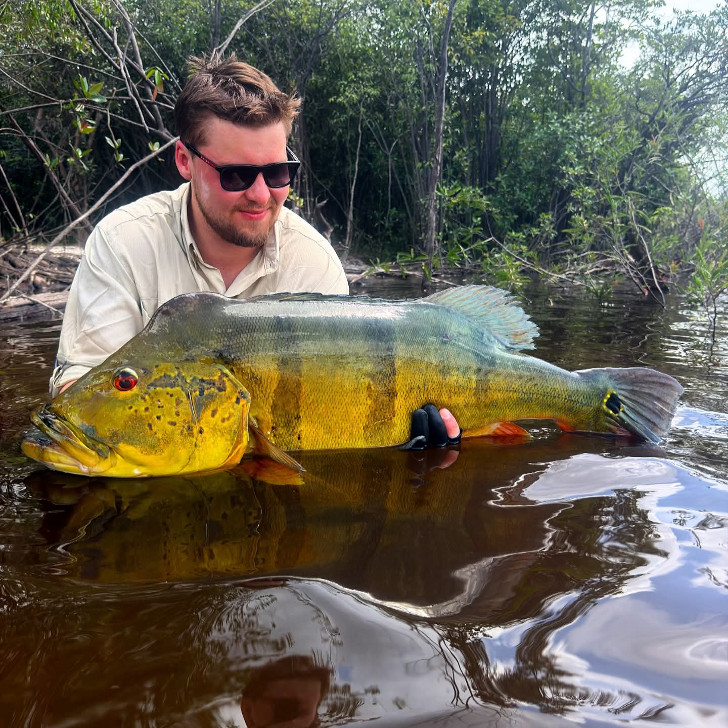 Amazon fishing
