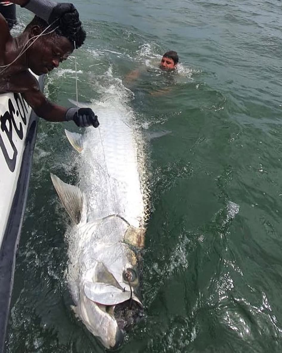 Angola fishing