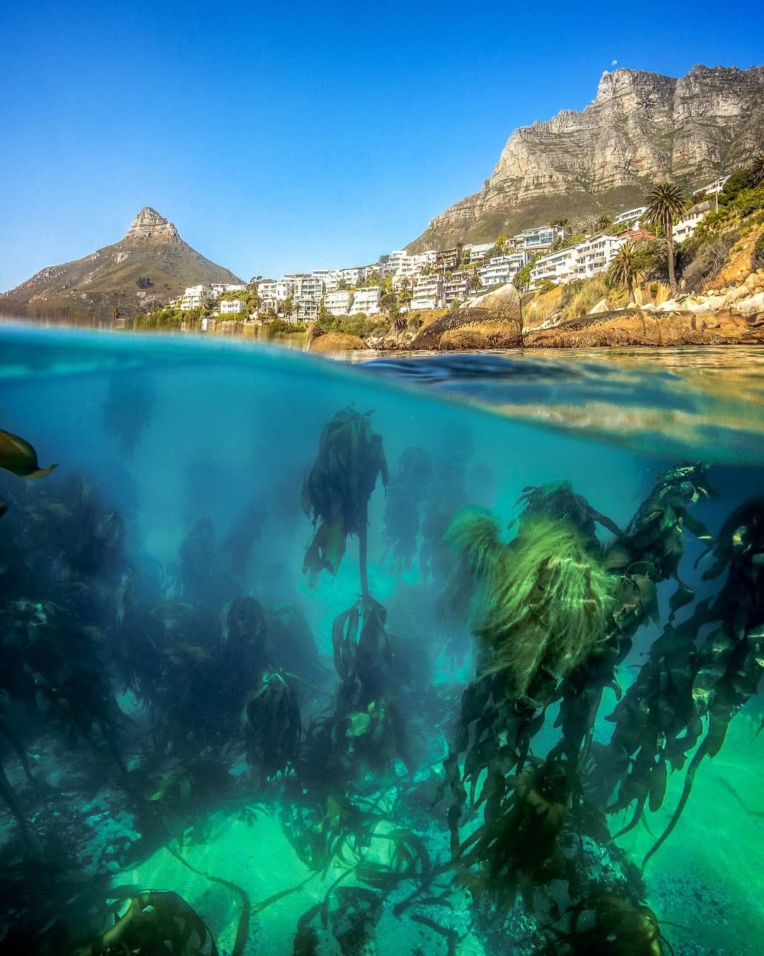 Cape Town