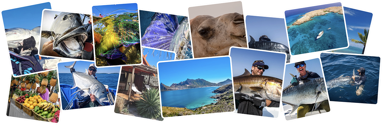 Fishing collage