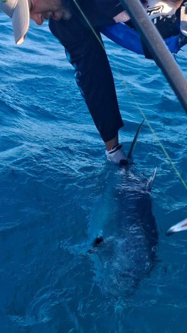 Madagascar fishing