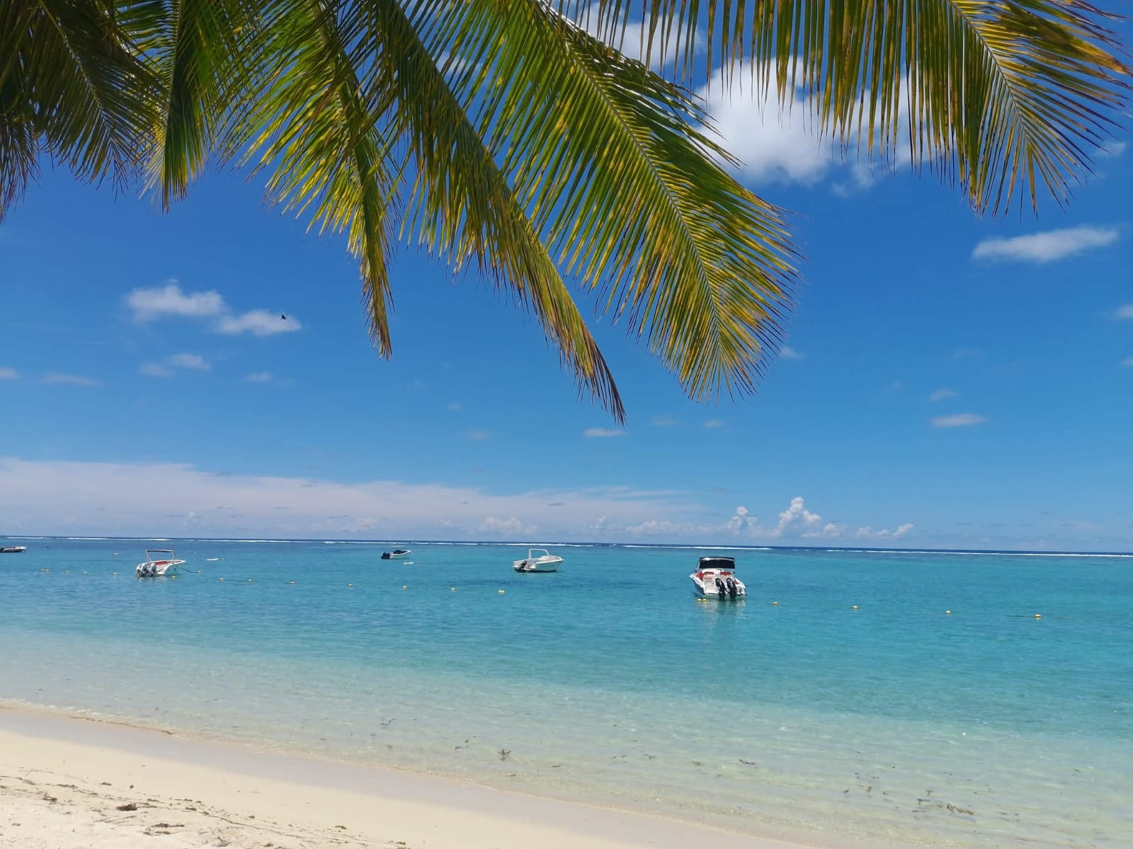 Mauritius fishing