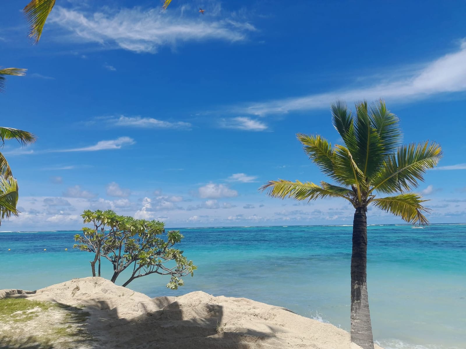 Mauritius