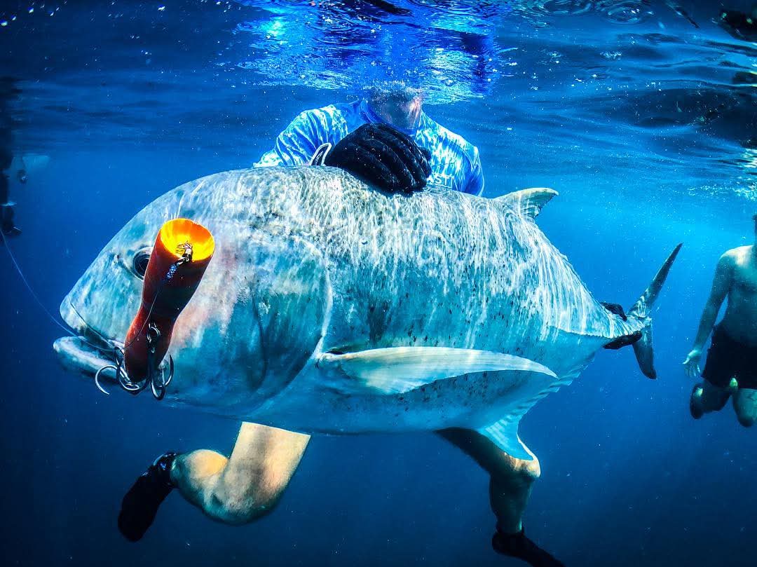 Oman fishing