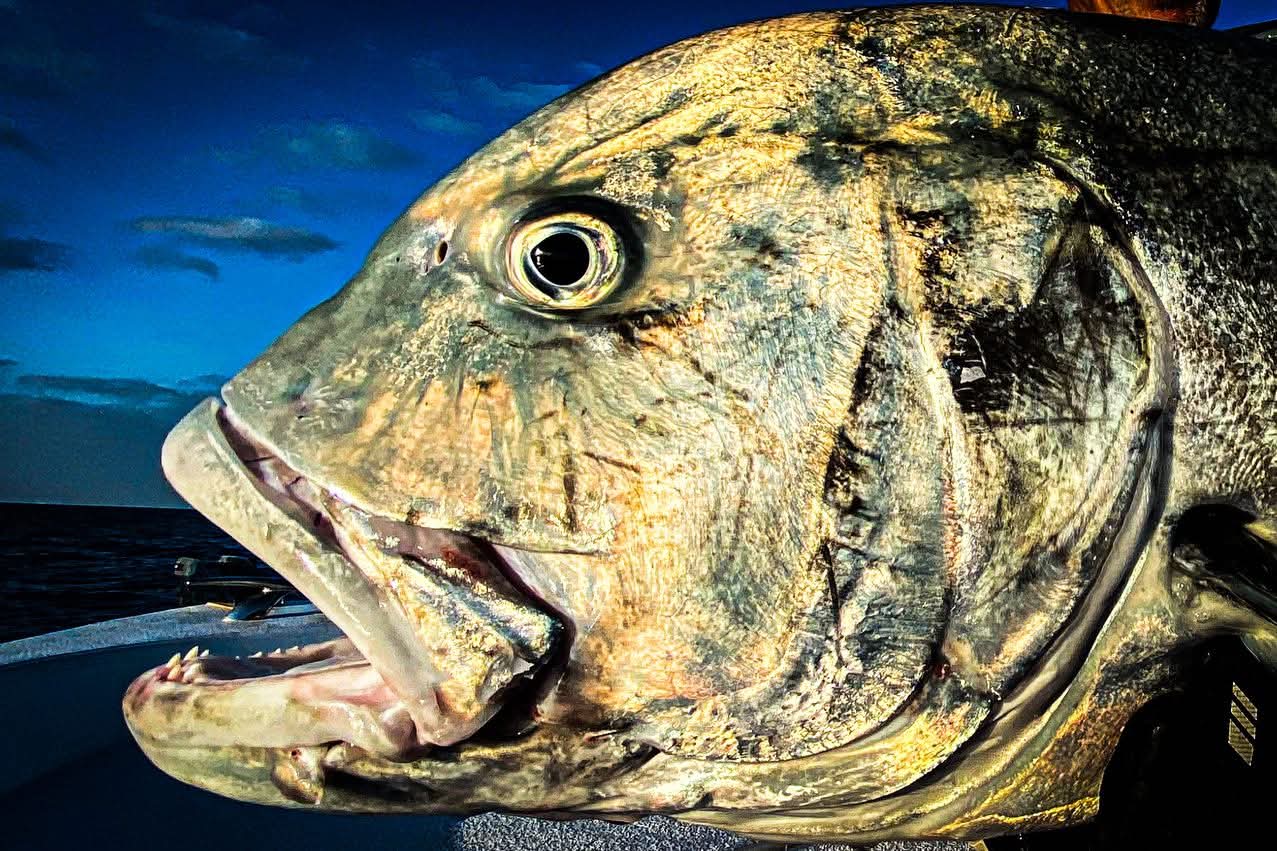 Oman fishing