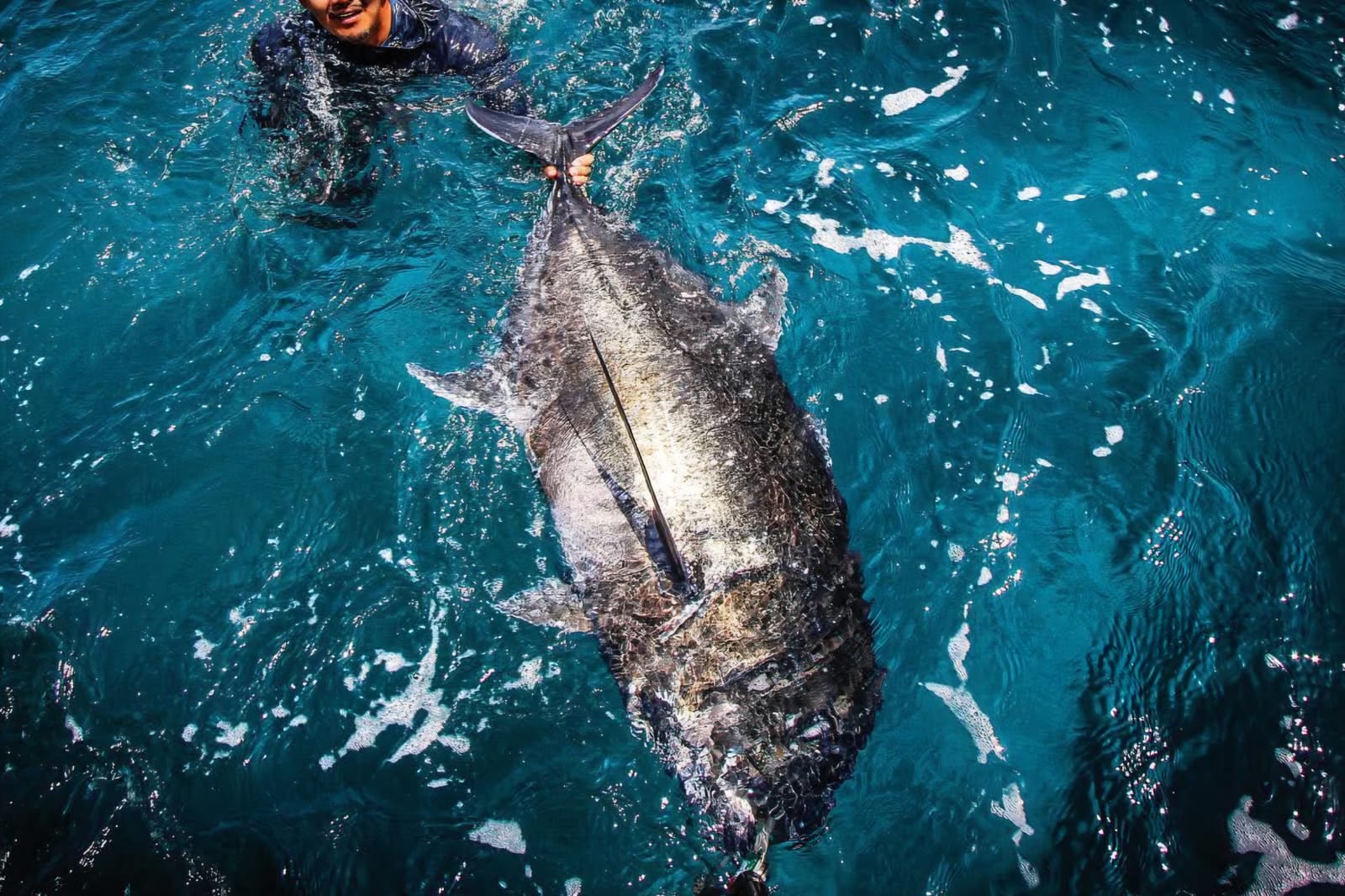 Oman fishing