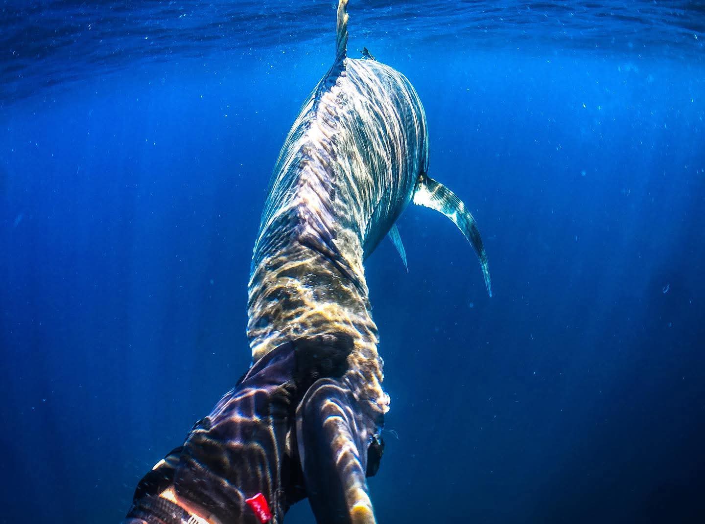 Oman fishing