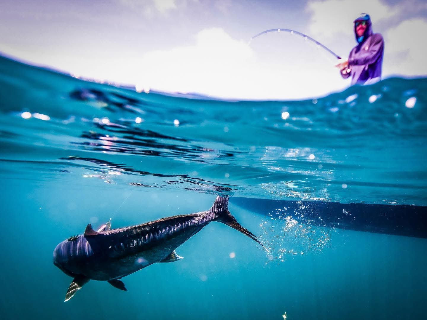 Oman fishing