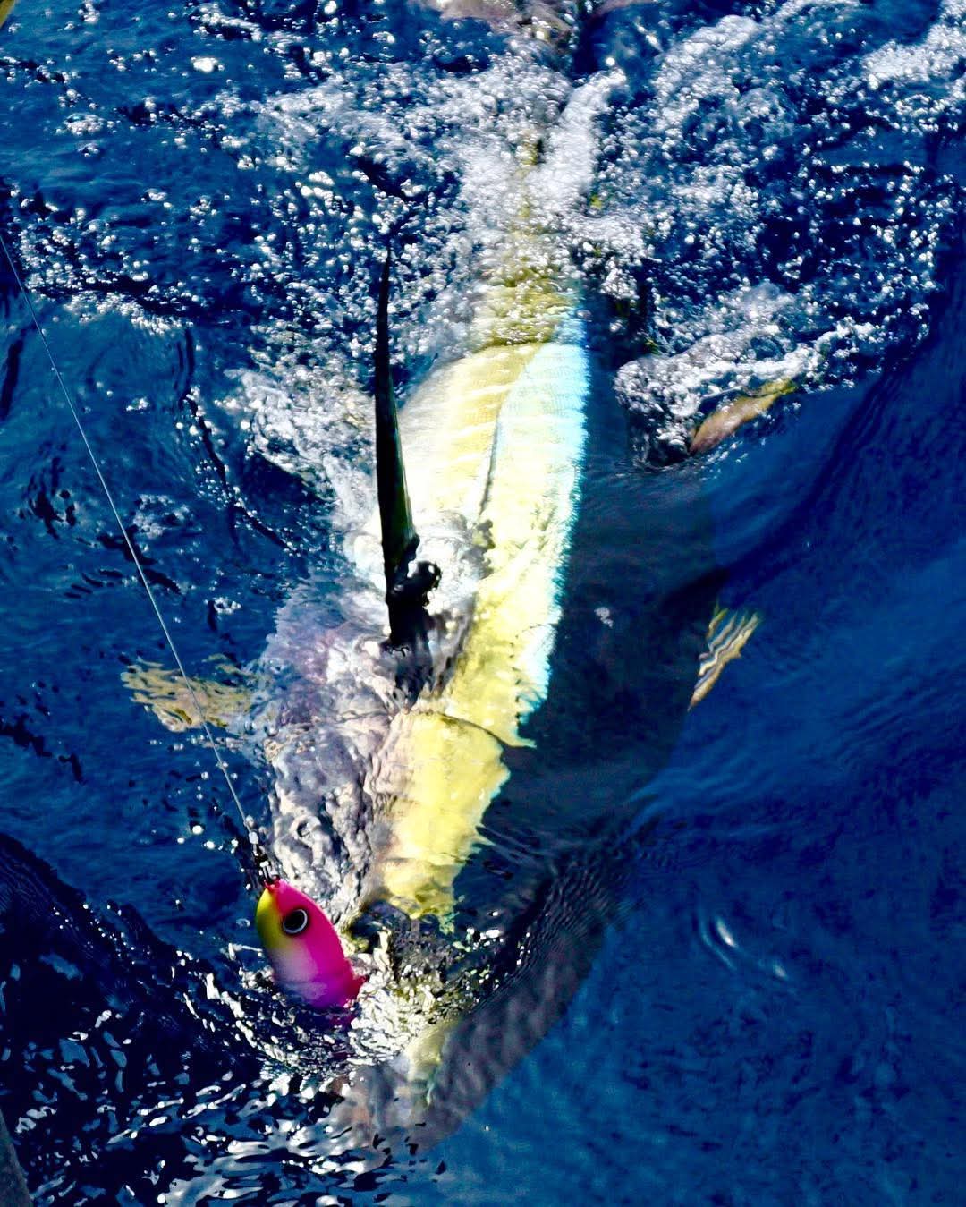 Oman fishing