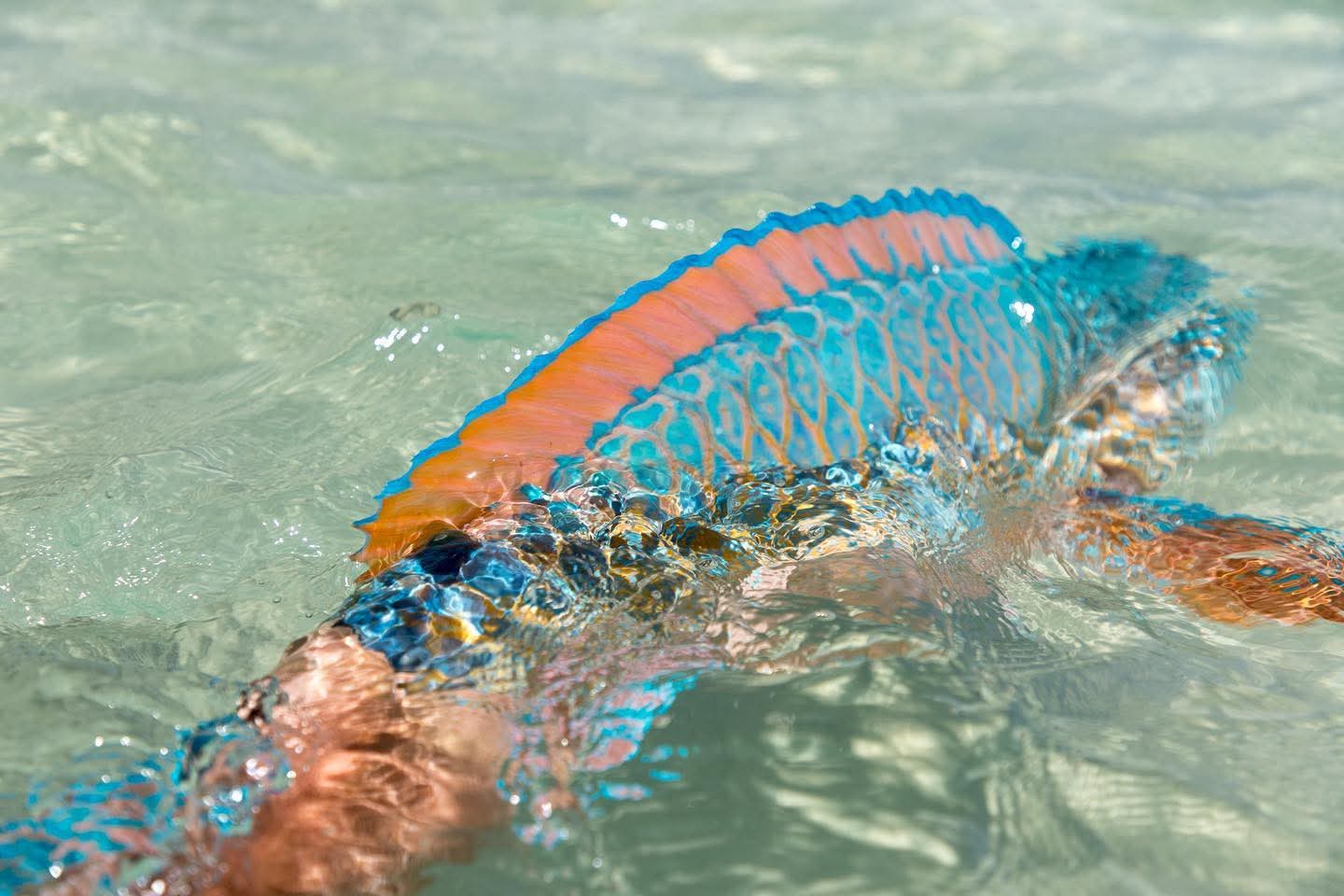 Oman fishing