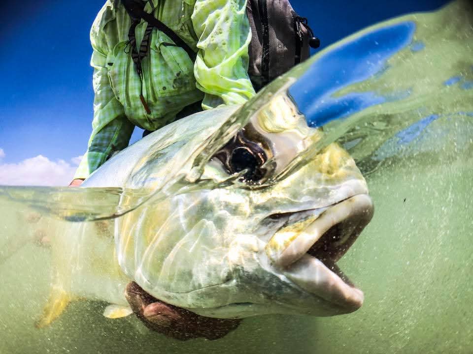 Oman fishing