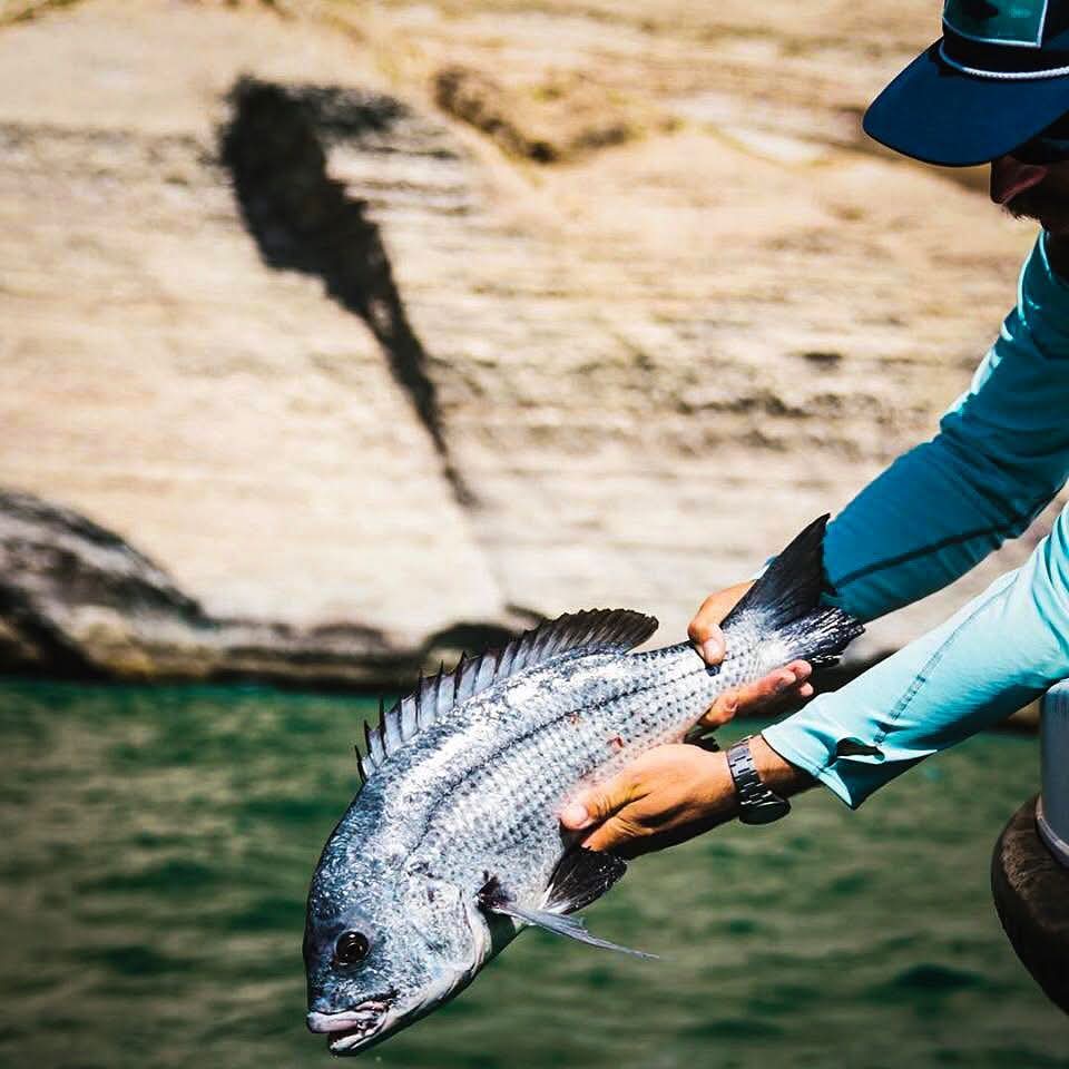 Oman fishing