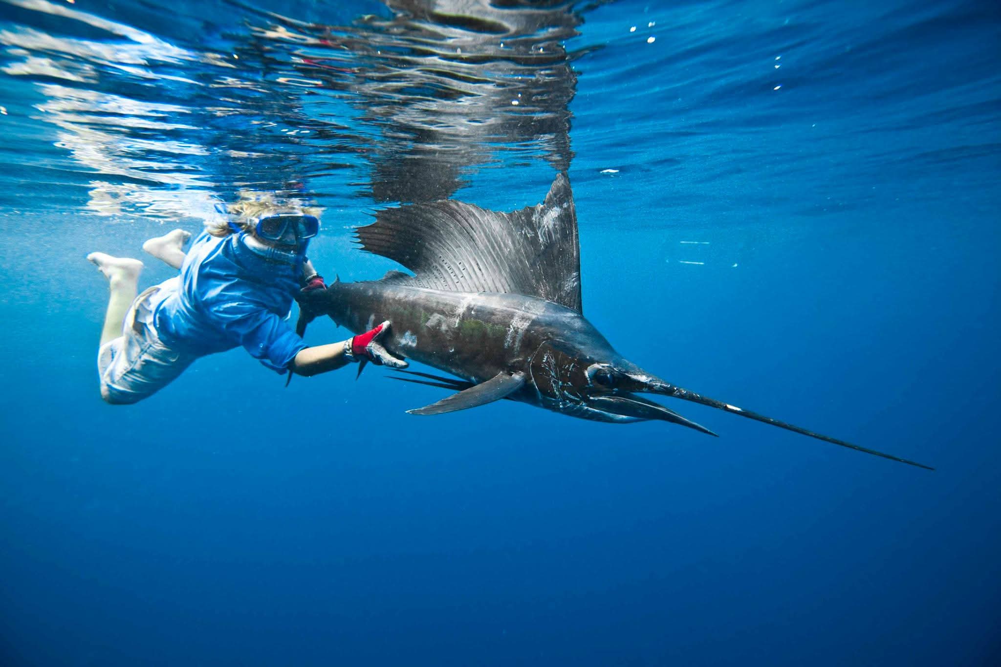 Oman fishing