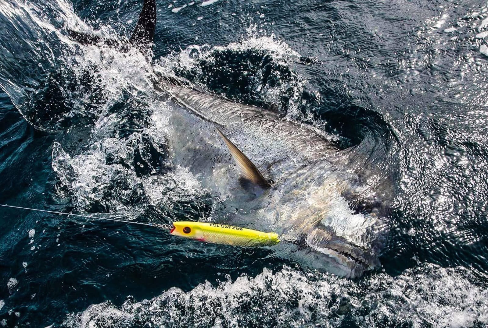 Oman fishing