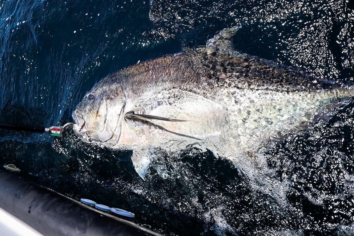 Oman fishing