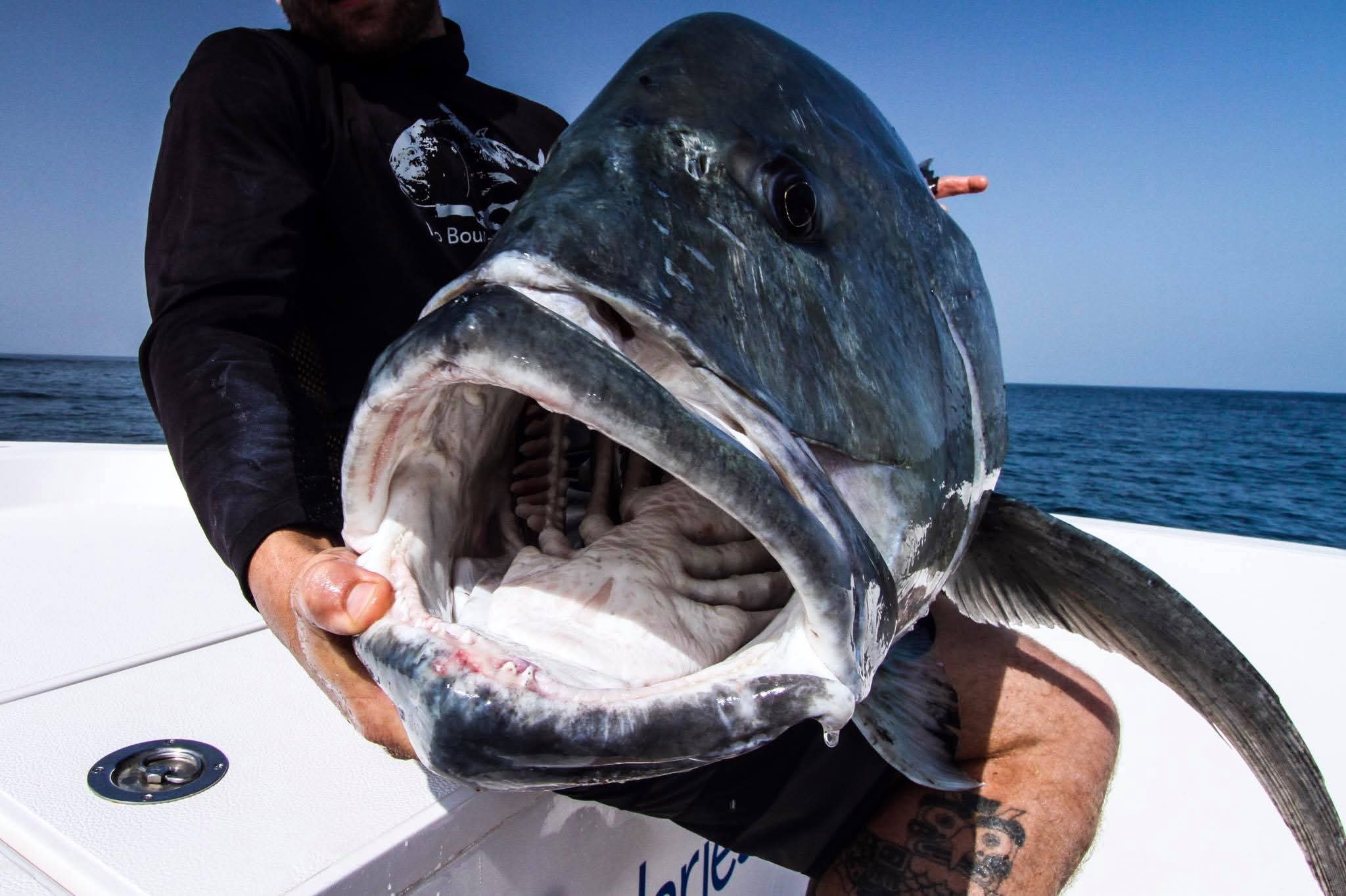 Oman fishing