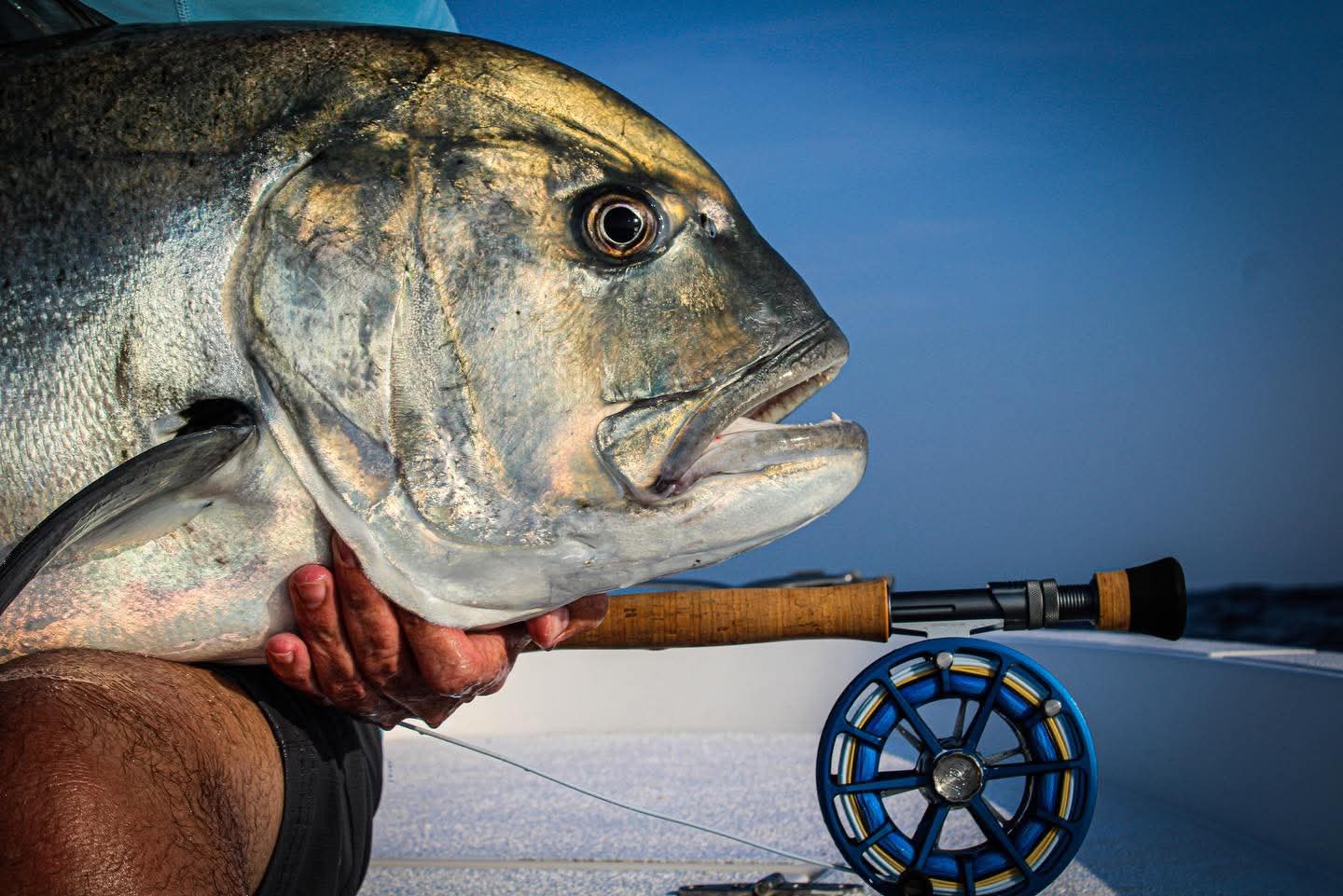 Oman fishing