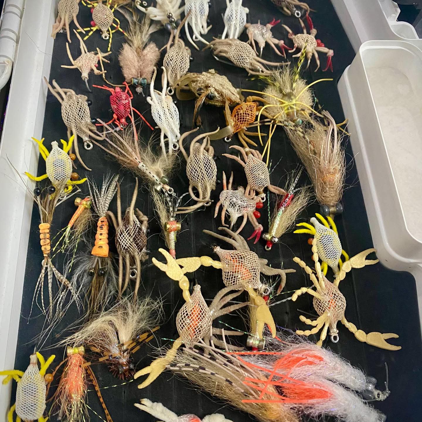 Oman fishing