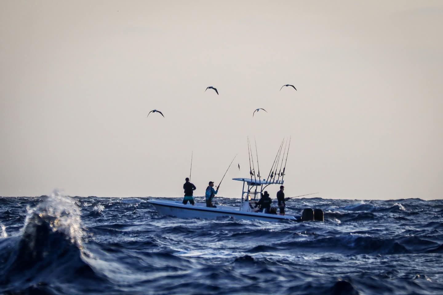 Oman fishing