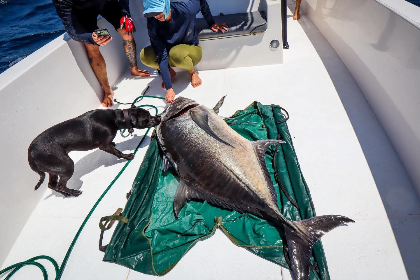 Oman fishing