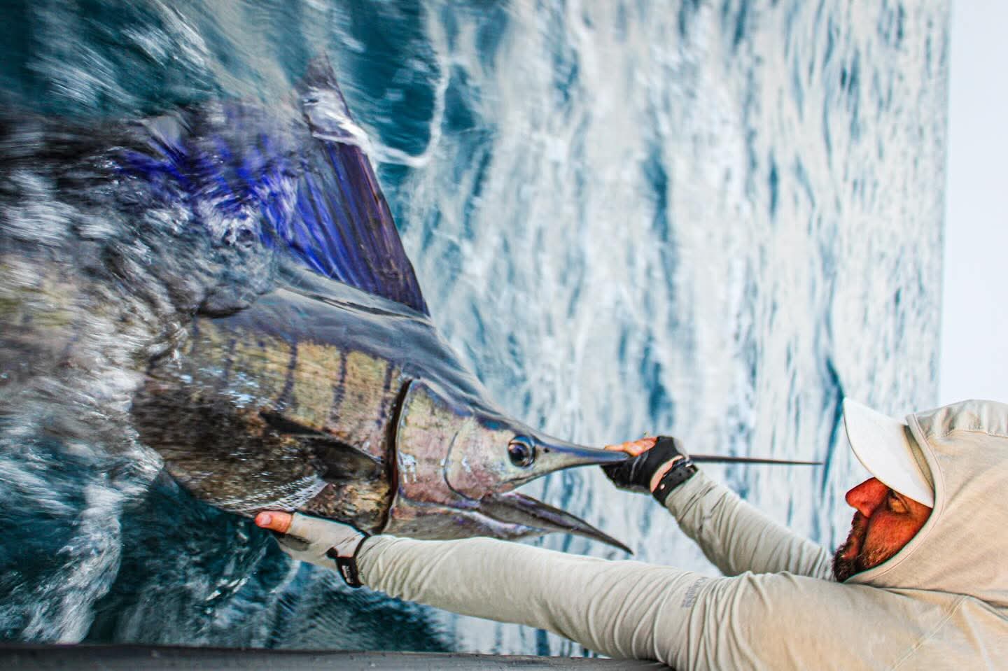 Oman fishing
