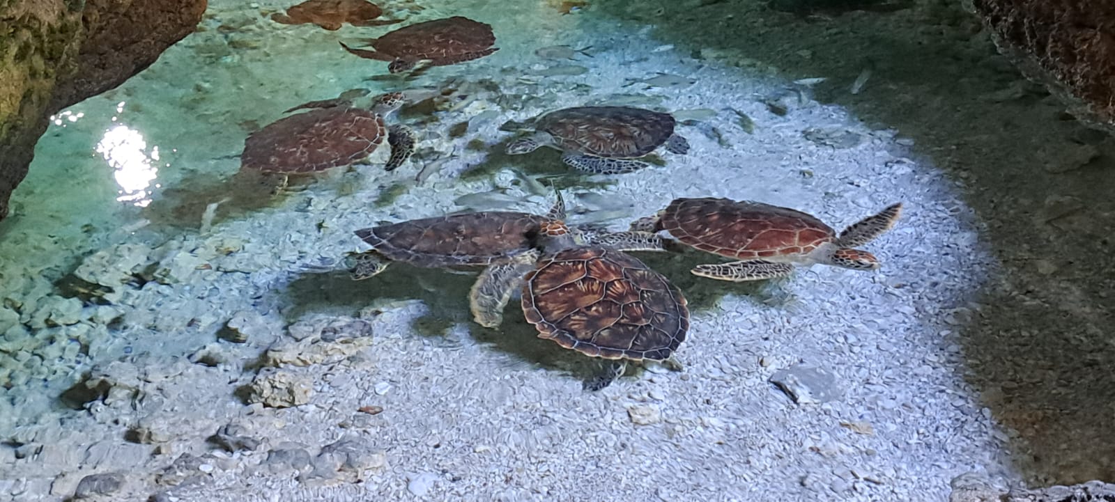 Zanzibar fishing