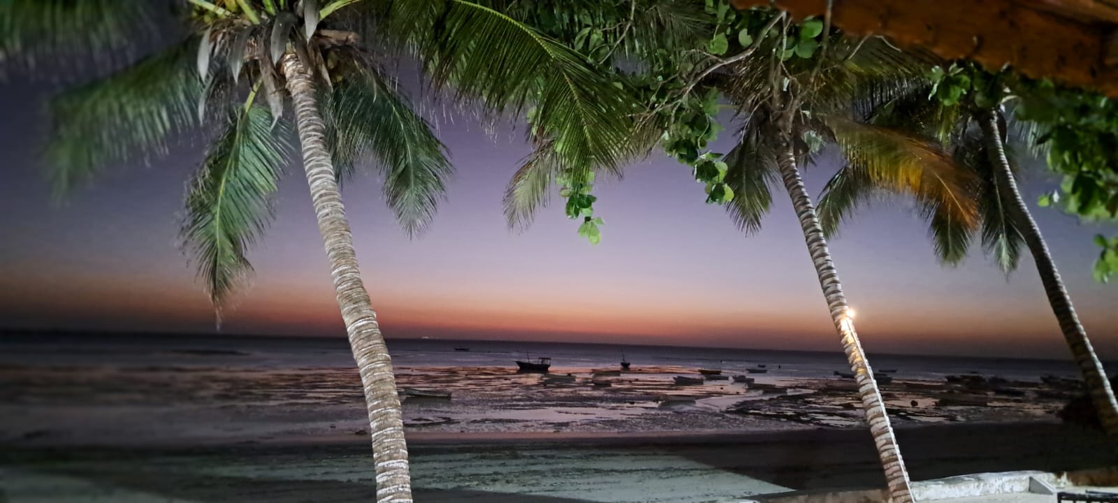 Zanzibar